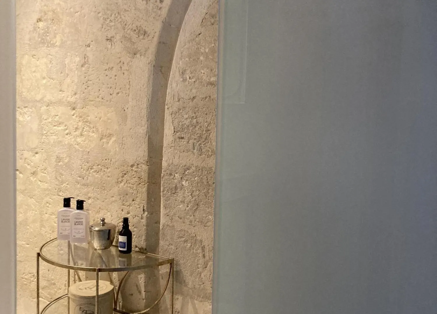 Apartment Clement VII Deluxe Apartement Spa Et Fitness With Balcony And Roof Top Avignon