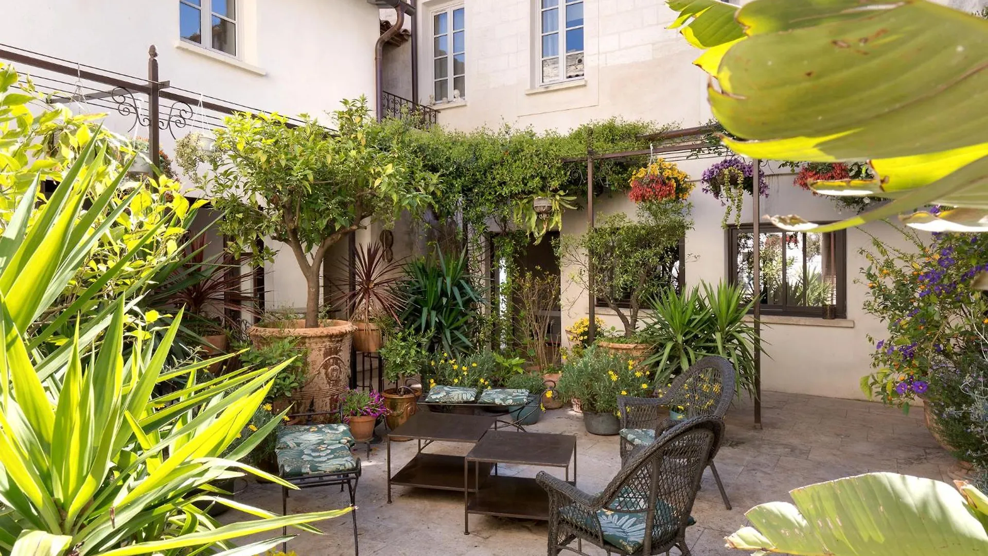 Apartment Clement VII Deluxe Apartement Spa Et Fitness With Balcony And Roof Top Avignon